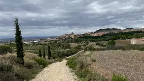 camino2 crop