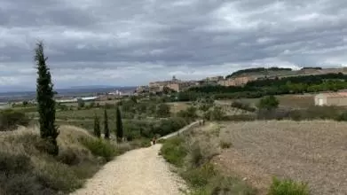 camino2 crop