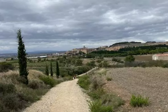 camino2 crop